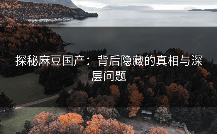 探秘麻豆国产：背后隐藏的真相与深层问题