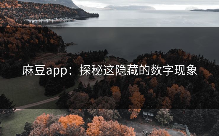 麻豆app：探秘这隐藏的数字现象